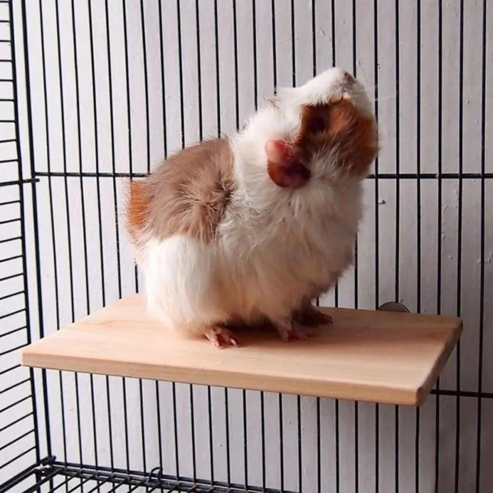 A fluffy brown and white pet sits on a natural wood platform stand inside a wire cage.