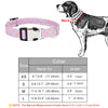 Adjustable Checker Pattern Dog Collar - Soft Nylon, Quick Release