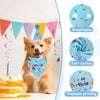 A golden-colored dog wearing a blue birthday bandana and a yellow party hat, set against a white background.