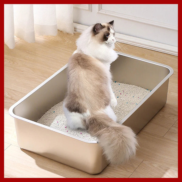 A fluffy gray and white cat is relaxing inside a stainless steel litter box tray filled with light-colored litter.