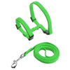 Adjustable Nylon Harness and Leash Set for Small Pets