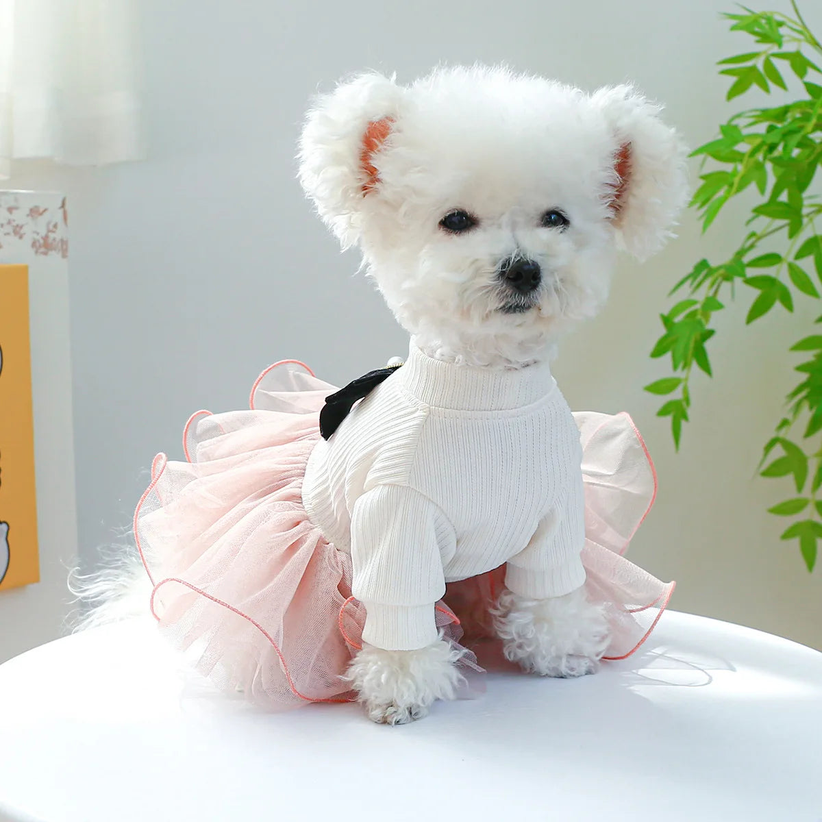 Tutu Princess Dog Dress with Lace Trim