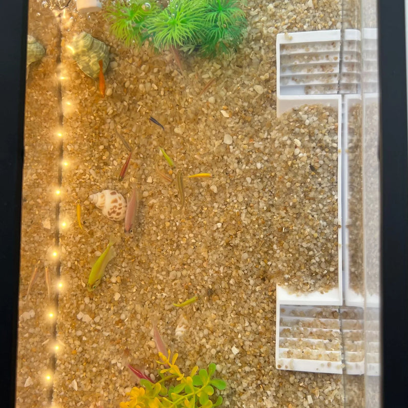 Underground Tunnel Aquarium Decor for Fish and Shrimp
