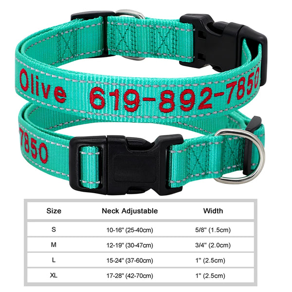 A green and black nylon dog collar with red embroidery and a silver buckle shown flat.