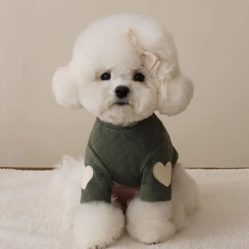 Un caniche blanco vistiendo una sudadera de oso verde acogedora con un diseño de corazón.