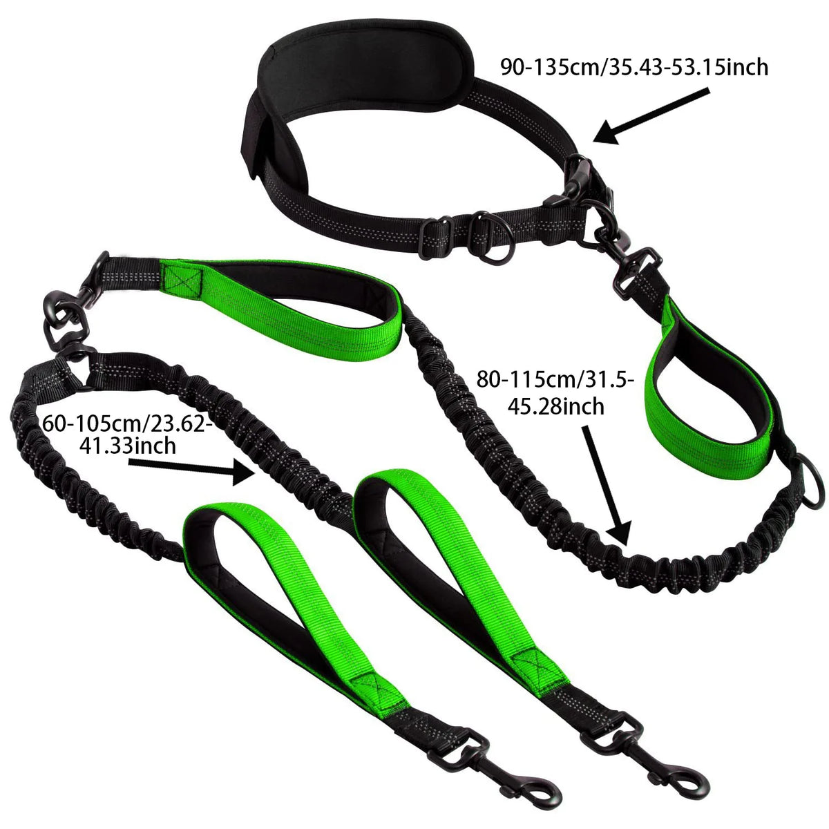 Hands-Free Double Dog Leash for Two Dogs – Padded Handles & Reflective Stitching for Medium and Large Breeds
