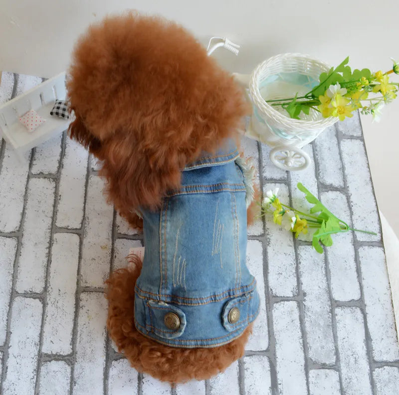 Chaleco de Mezclilla con Estampado de Huella para Perros y Gatos