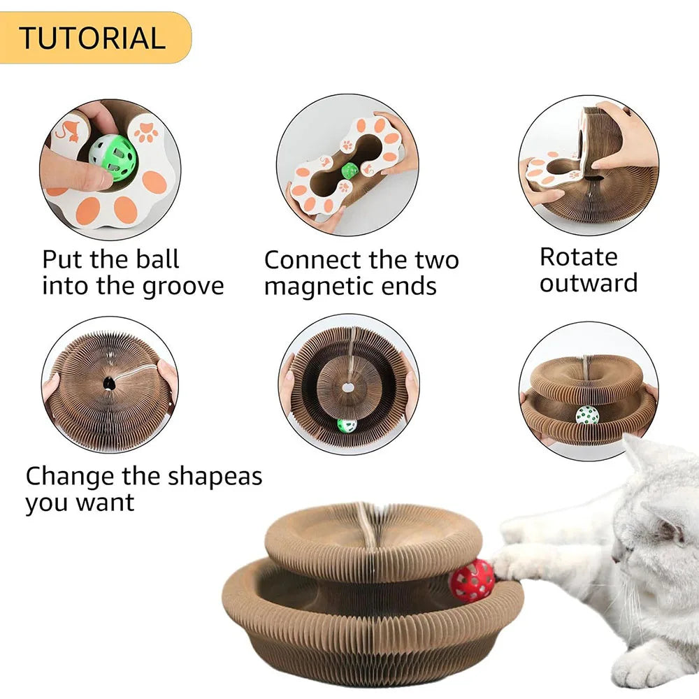 Tutorial showing how to put a ball into the groove, connect magnetic ends, and rotate the toy outward for an interactive cat 