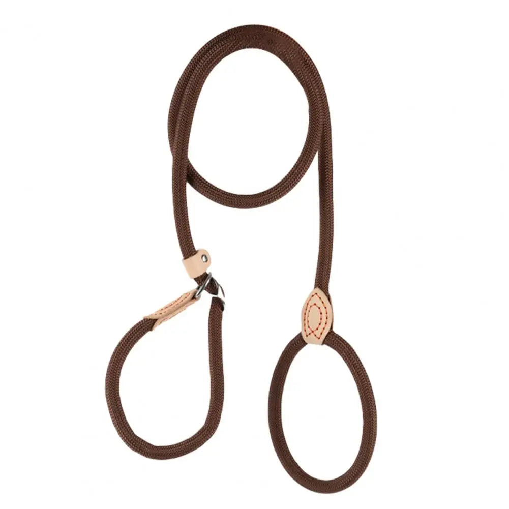 A brown heavy duty slip lead dog leash with an adjustable stopper.