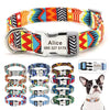 Personalisierte Nylon-Hundehalsband mit graviertem ID-Plättchen