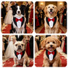 A collection of four dogs wearing elegant black and red tuxedo-style bowties or bandana accessories for parties.