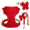 Rotes gestricktes Hundehalsband und Leine-Set mit verzierten Schleifenhalsbändern