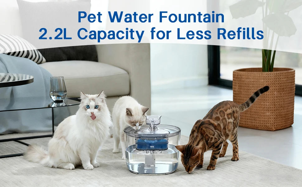 Three cats drink from a clear water fountain designed for pet hydration.