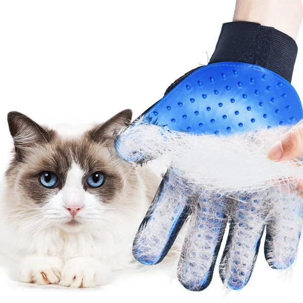 Gant de toilettage pour animaux — Élimination des poils
