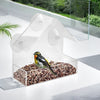 Window Bird Feeder with Suction Cups