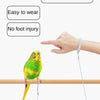 Elastic Parrot Training Leash with Metal Buckle