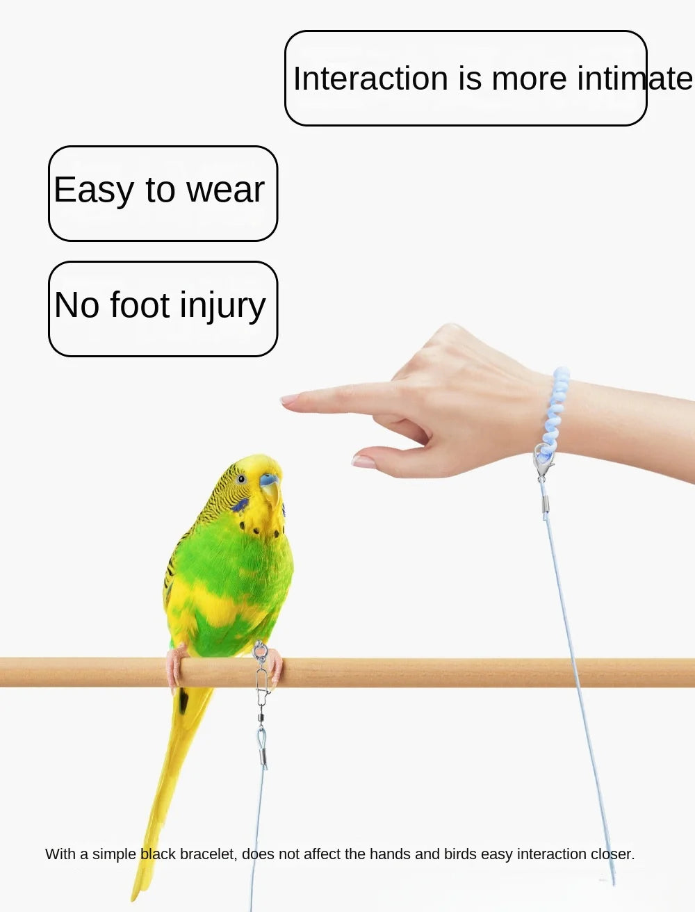 Elastic Parrot Training Leash with Metal Buckle