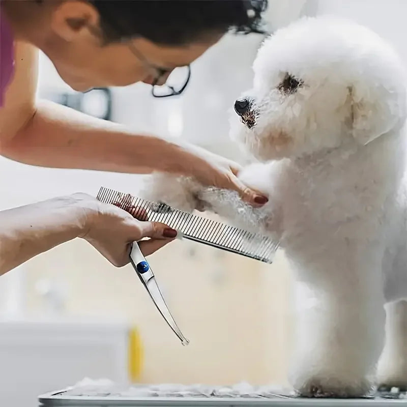 Una persona usa tijeras de peluquería de titanio premium para recortar el pelo de un caniche blanco.