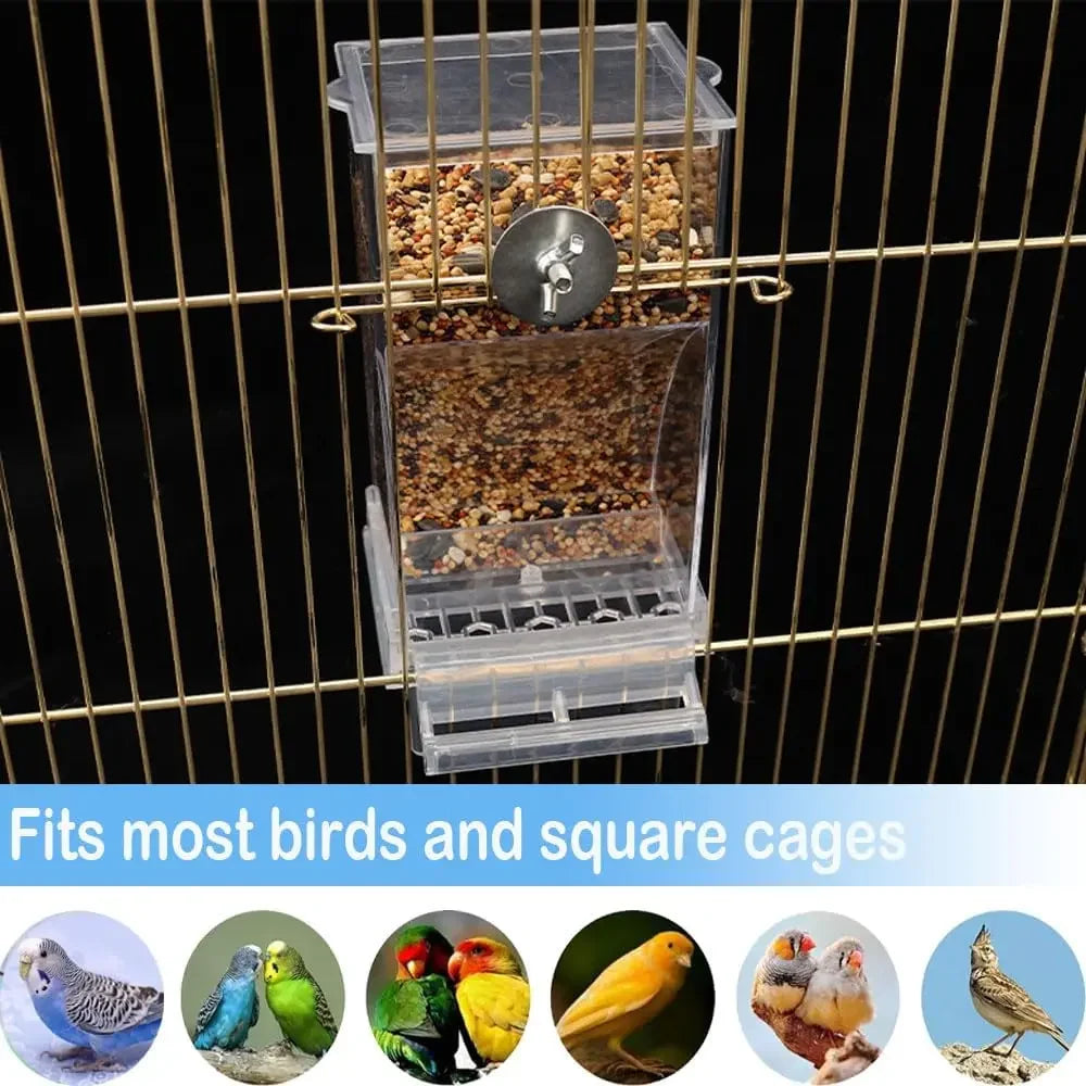 Clear anti-spill automatic bird feeder with perch designed to fit most birds and square cages.