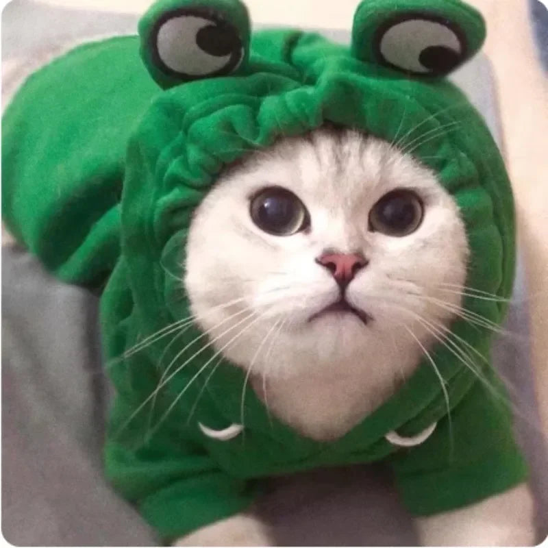 Sudadera con Forma de Rana para Mascota