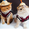 Classic V-Neck Knit Pet Sweater for Small Dogs & Cats