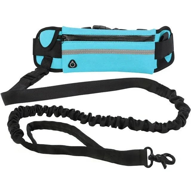 A black dog waist leash with a turquoise fabric waist bag and reflective trim.