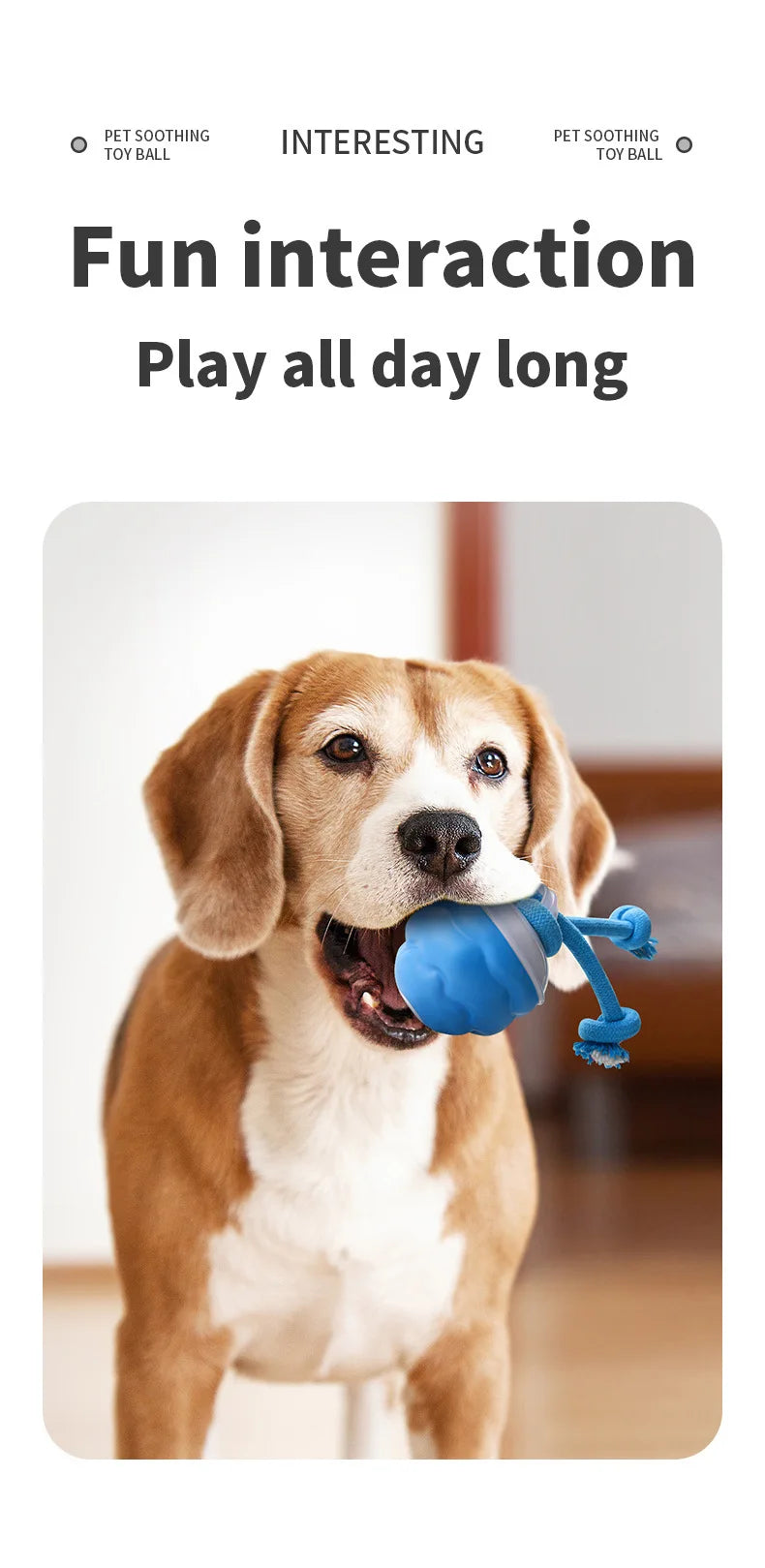 Interactive Rolling Dog Ball with Motion Sensor and Rope