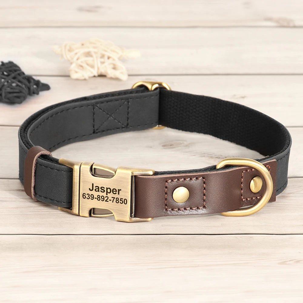 A dark brown leather dog collar with a brass ID tag and buckle rests on a light wooden surface.