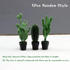 Set of 5 Miniature Potted Plants for Dollhouse Scenes