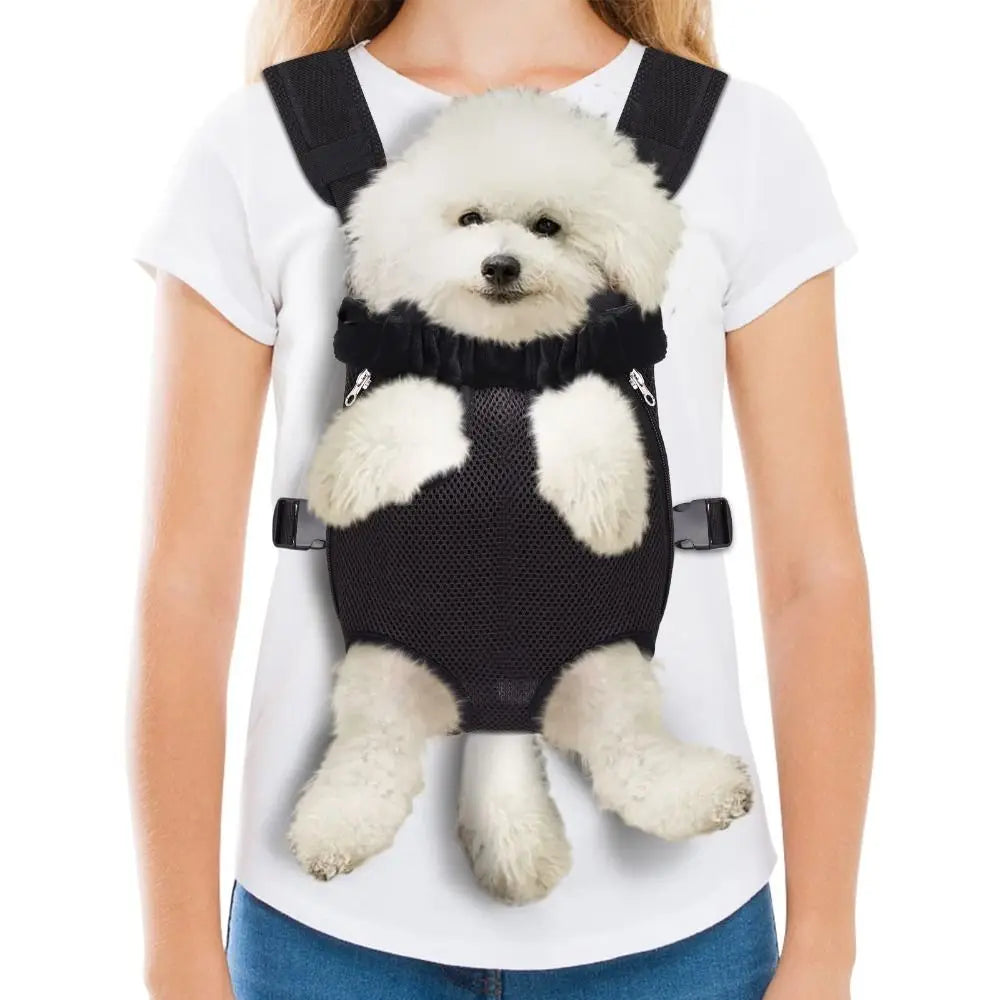 A white dog wearing a black convertible pet carrier backpack on a person's chest.