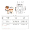 Pet Carrier Backpack for Dogs and Cats