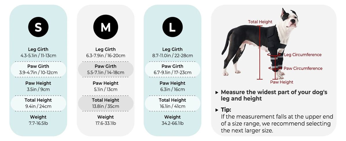 Guide to selecting the correct size of an adjustable dog front leg brace based on the dog's measurements.