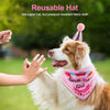 Pet Birthday Celebration Set with Hat Bandana and Bow Tie