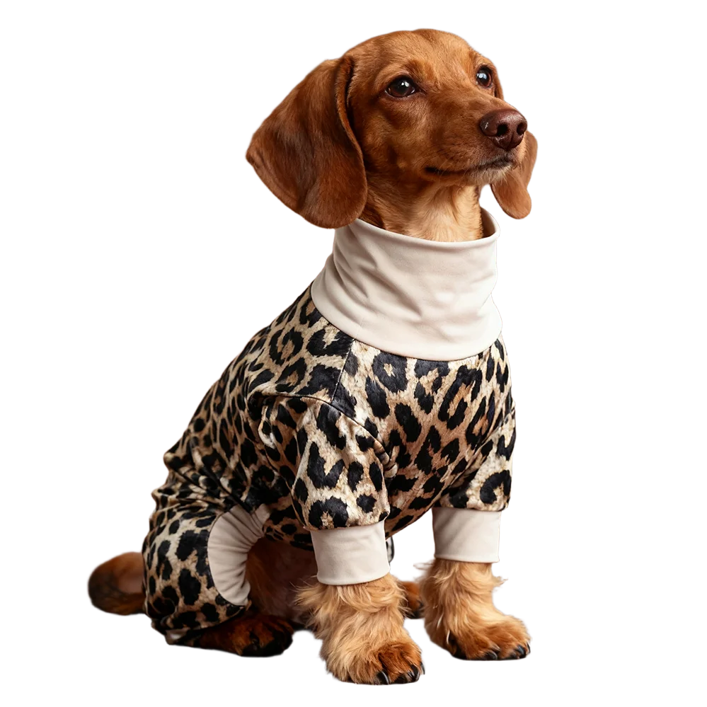 A brown dog wearing a leopard print jumpsuit and a white collar, looking to the right.