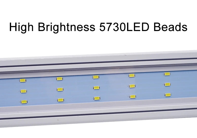 Lampe LED à clipser fine pour aquarium et plantes
