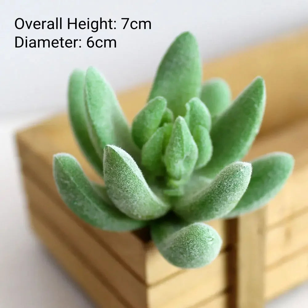 A small, green flocked artificial succulent plant with a rosette shape displayed in a wooden box.