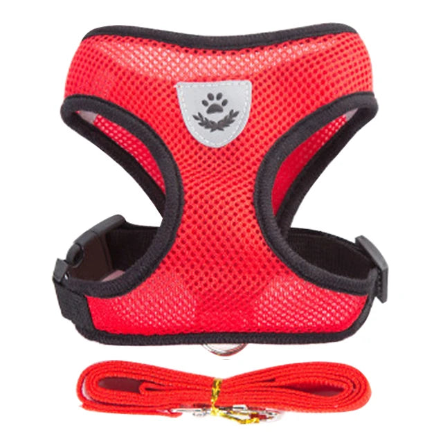 Red mesh pet harness and matching red leash set