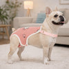 Adjustable Washable Dog Sanitary Pants with Shoulder Straps