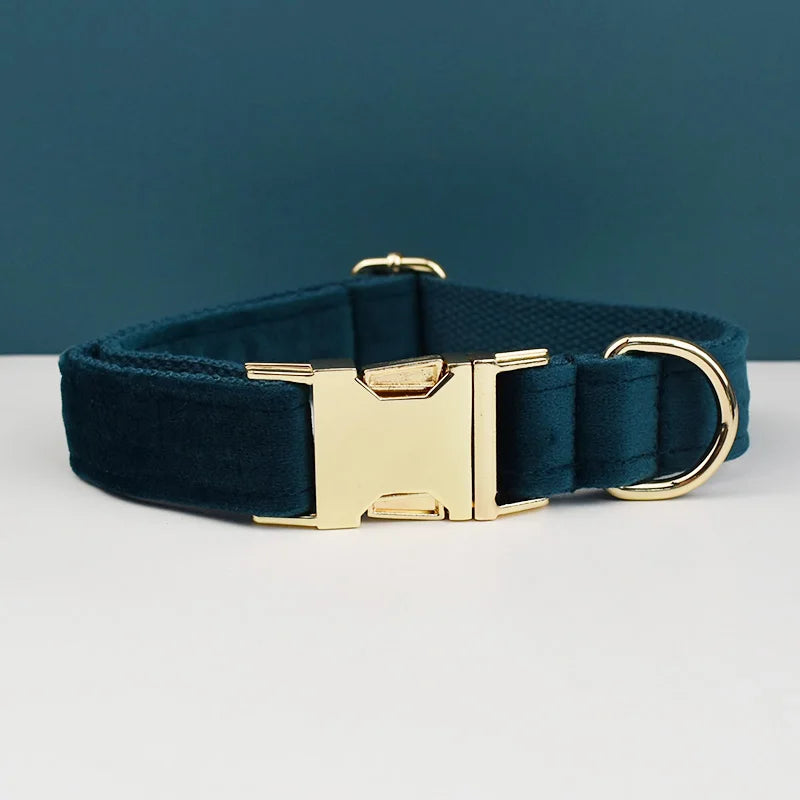 Juego de collar, correa y arnés de terciopelo verde azulado oscuro con herrajes dorados.