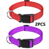 Decorative Nylon Dog Collar with Buckle Closure