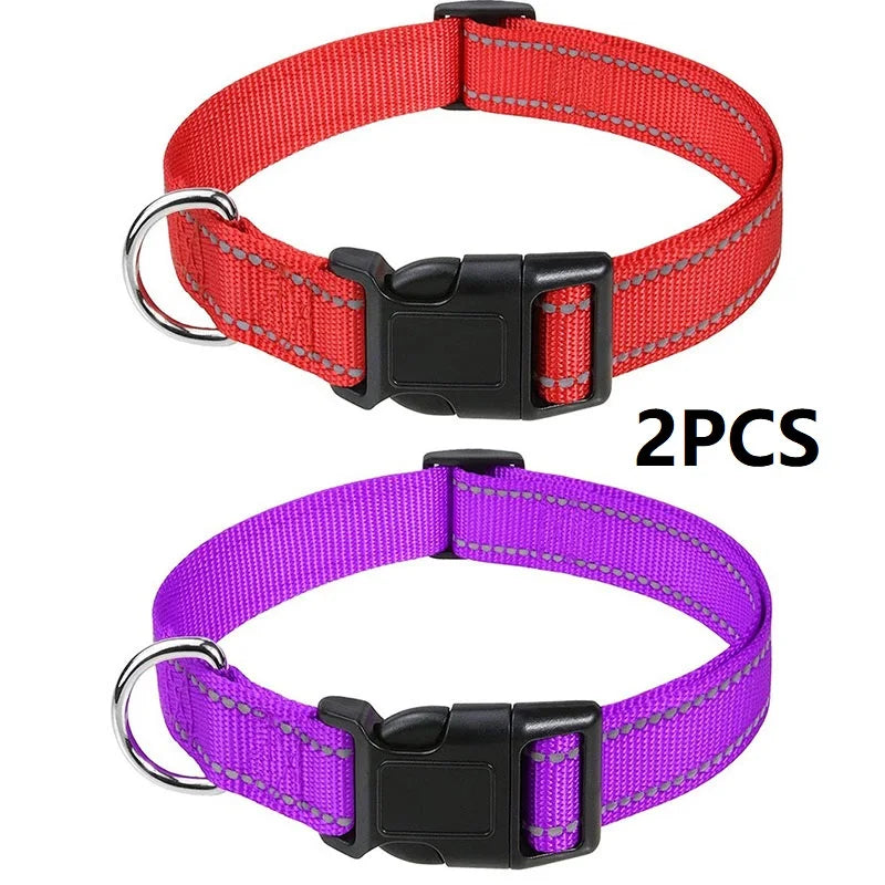 Decorative Nylon Dog Collar with Buckle Closure