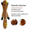 Squeaky Plush Dog Toy with Crinkle Paper – No Stuffing, Durable & Fun