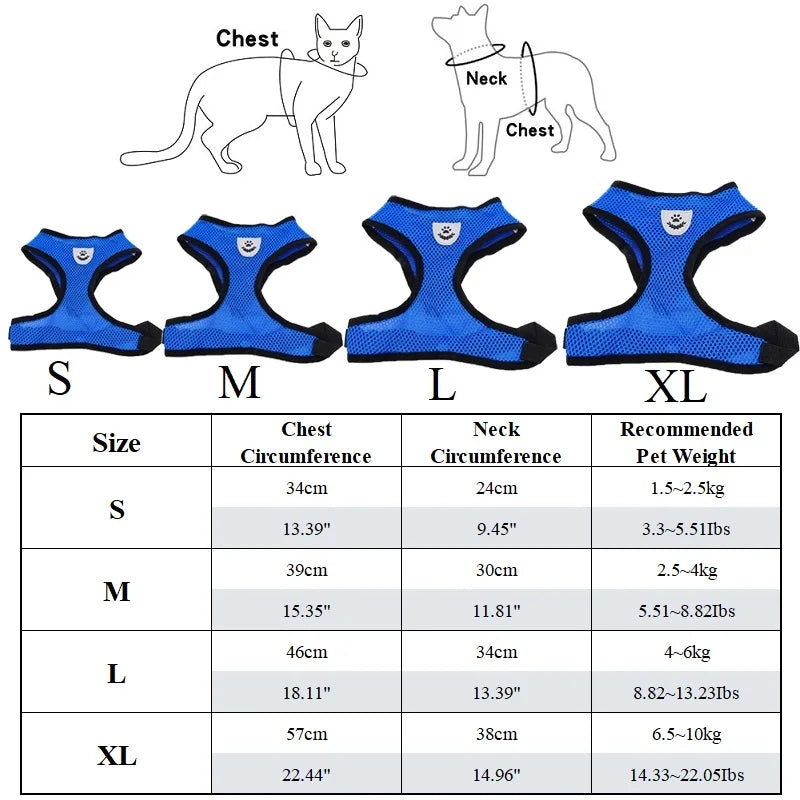 Harnais et Laisse en Maille Respirante pour Animaux
