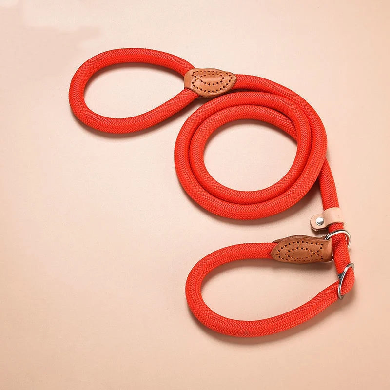 Robbe, verstellbare Nylon-Hundeleine