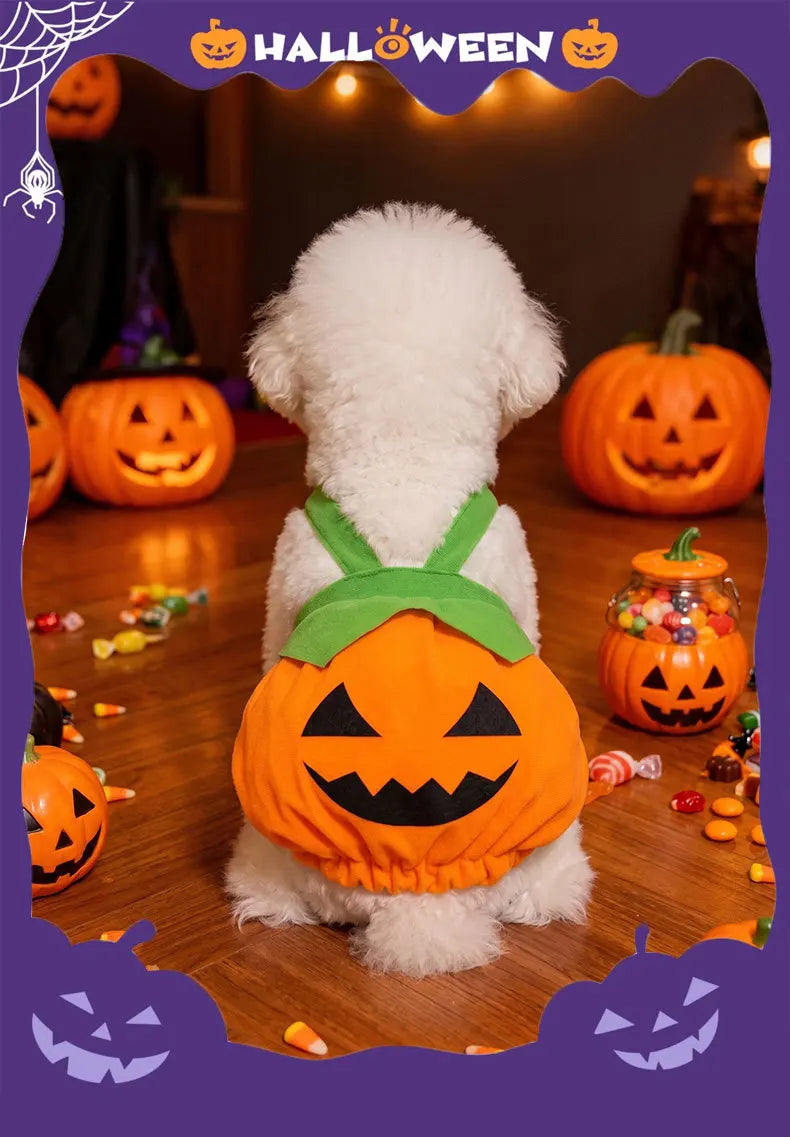 Adjustable Halloween Pumpkin Overall Costume for Small Dogs and Cats