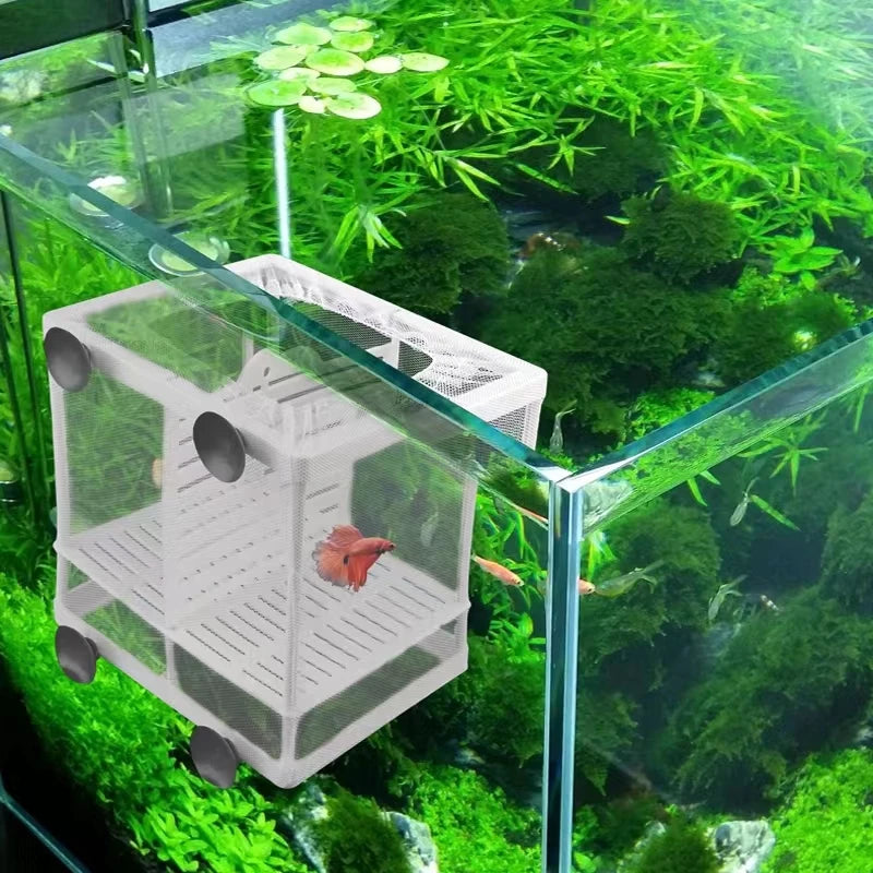 Aquarium Fish Breeding Isolation Box with Suction Cups