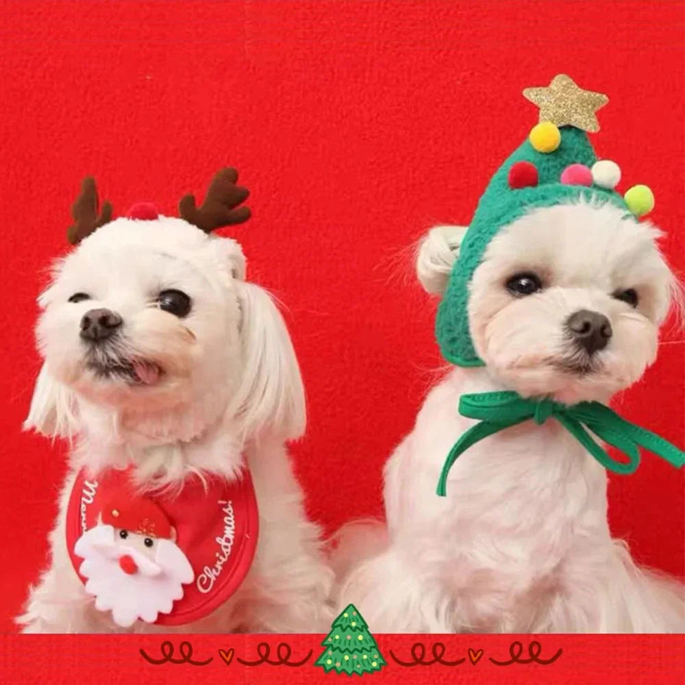 Christmas Pet Hat and Bandana Set for Cats and Small Dogs