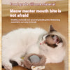 A white and gray kitten is playing with a silicone pet toy ball on a wooden floor.