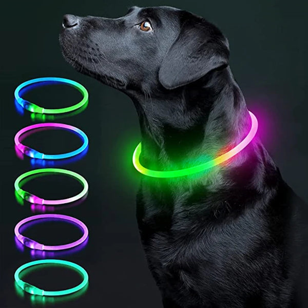 A black dog wearing a glowing LED collar with multiple colored light rings.