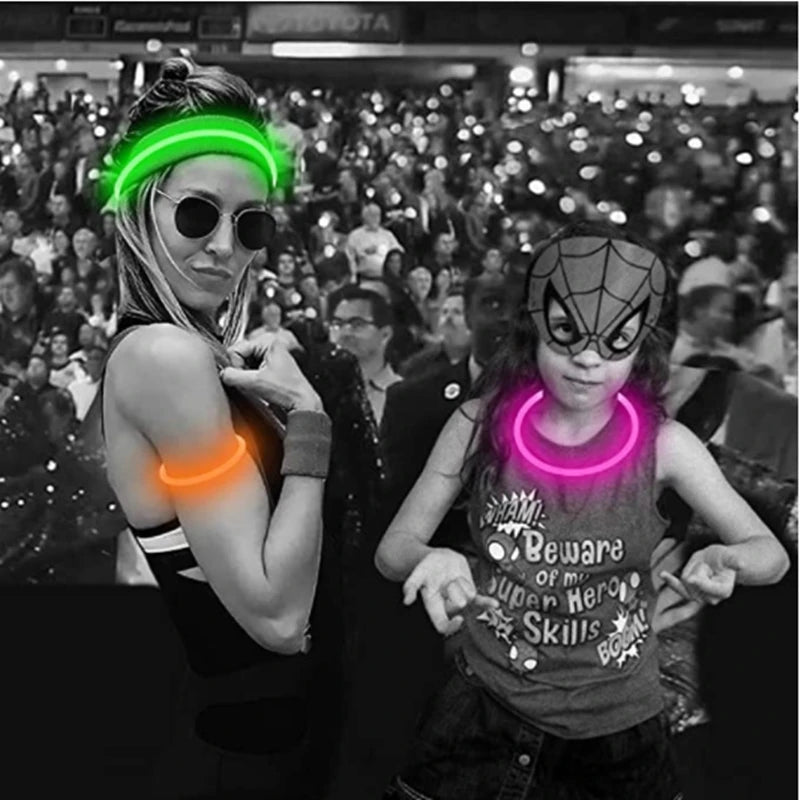 USB Rechargeable Luminous Collar for Dogs and Cats